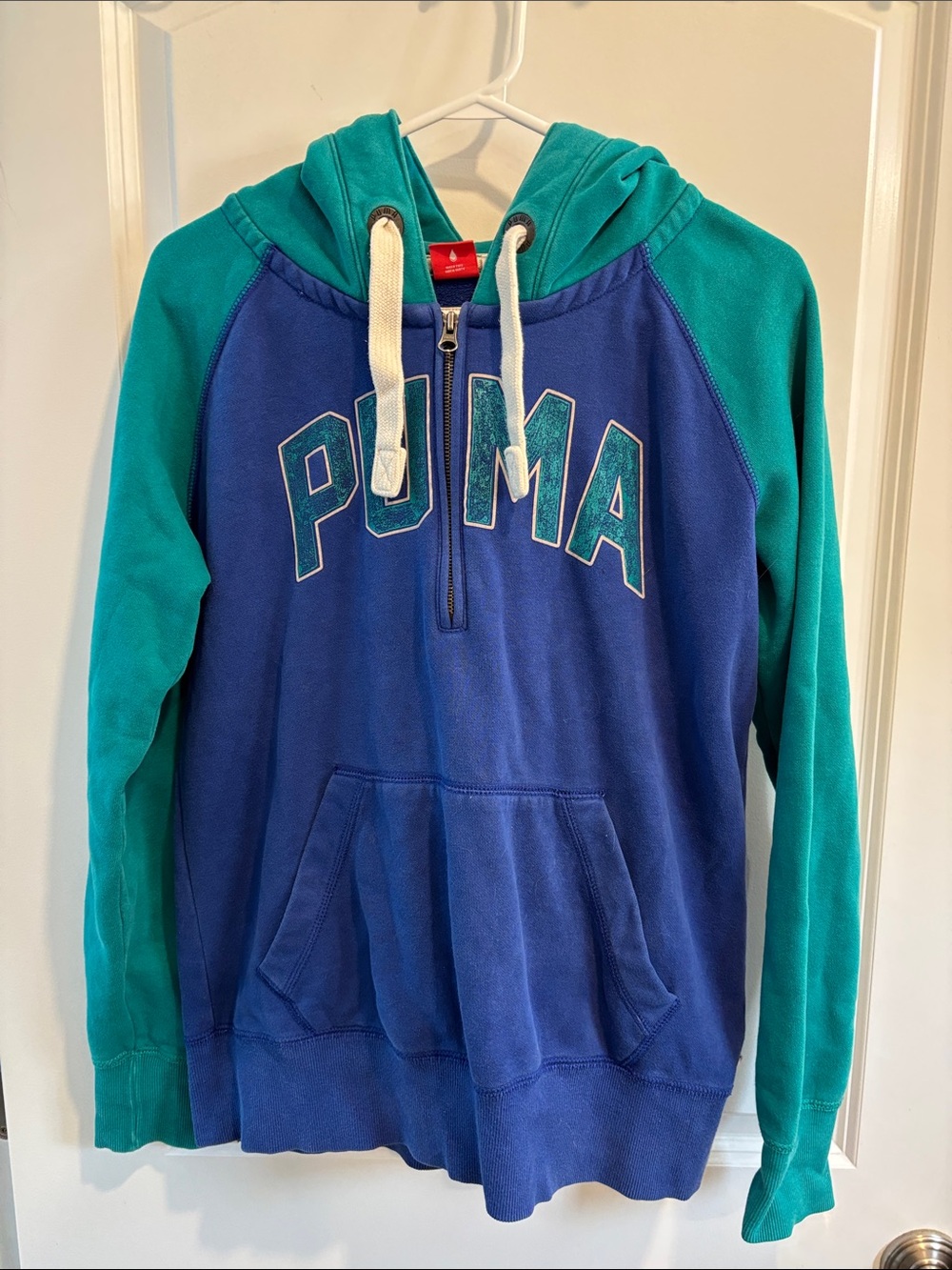 Puma Blue & Teal Half-Zip Hoodie